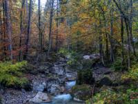 Am Weißbach entlang geht es bergan